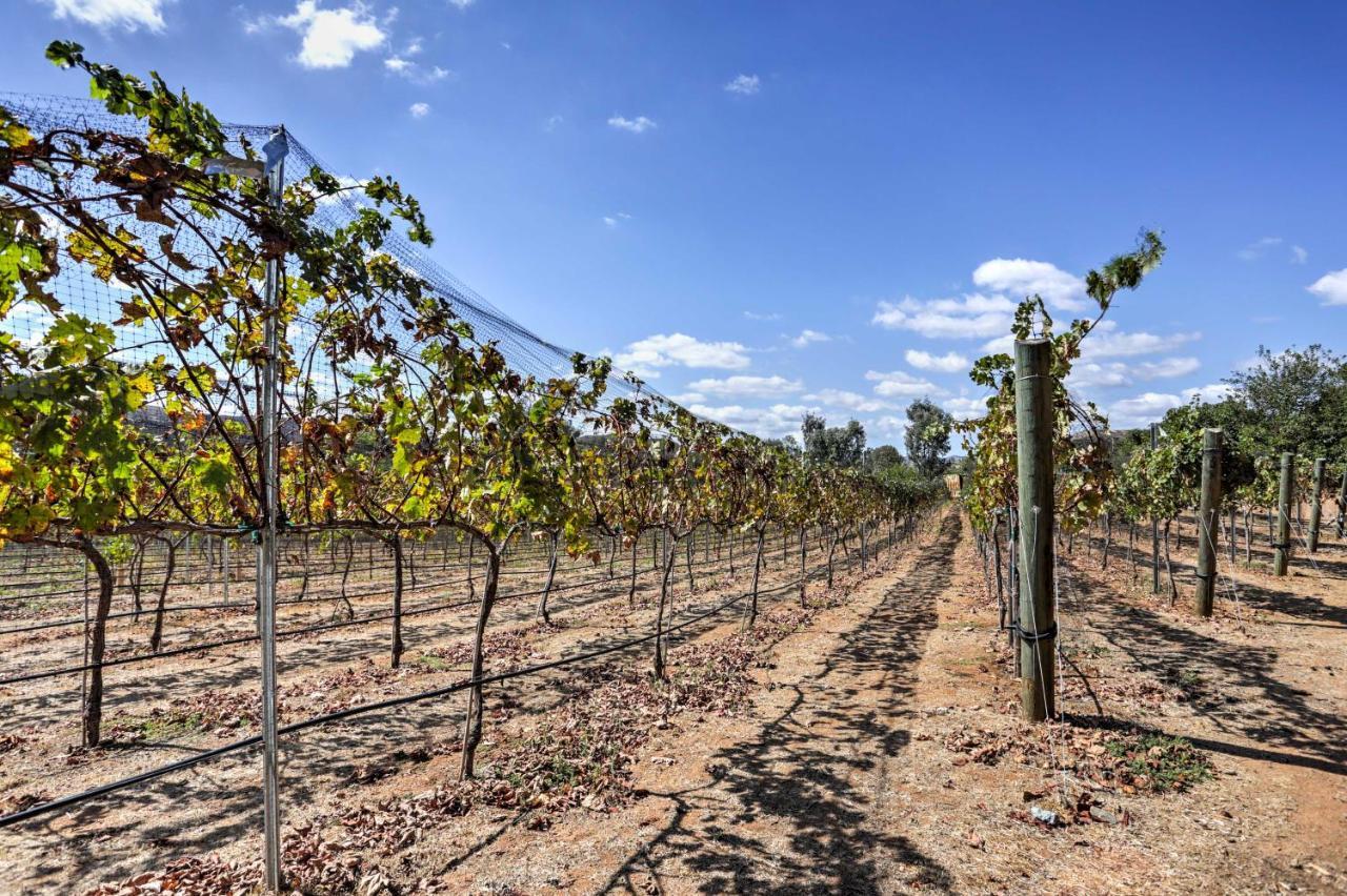 Escondido Vineyard Estate Walk To Wineries! Villa Екстериор снимка